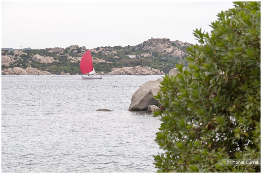 Camping Baia Saraceno Hotel Palau Eksteriør billede